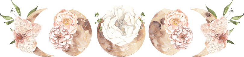 Nude watercolor floral moon phases illustration