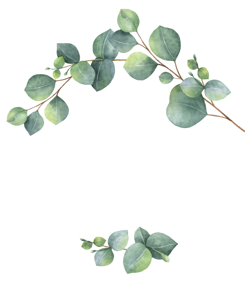 Watercolor green eucalyptus wreath.