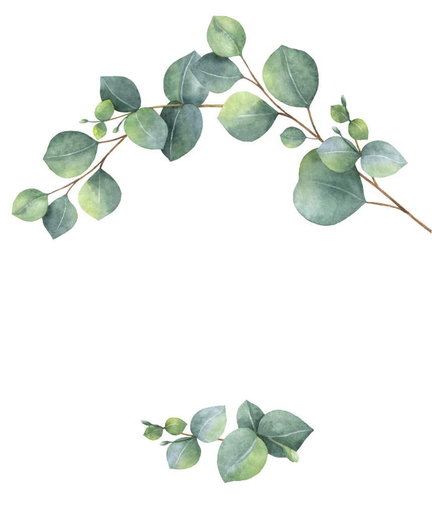 Watercolor green eucalyptus wreath.